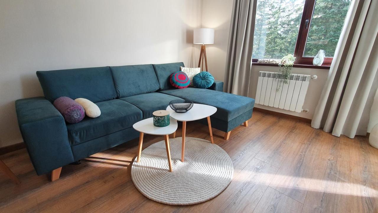 Borovets Holiday Homes エクステリア 写真