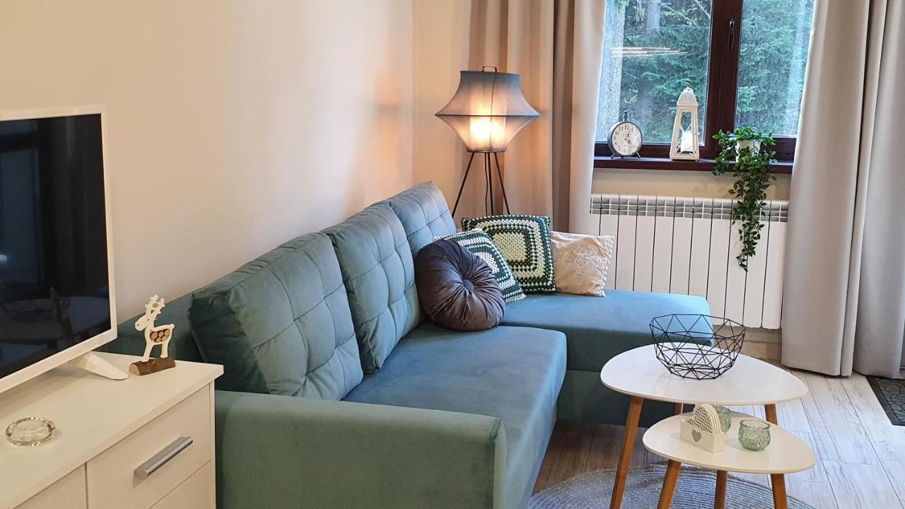 Borovets Holiday Homes エクステリア 写真