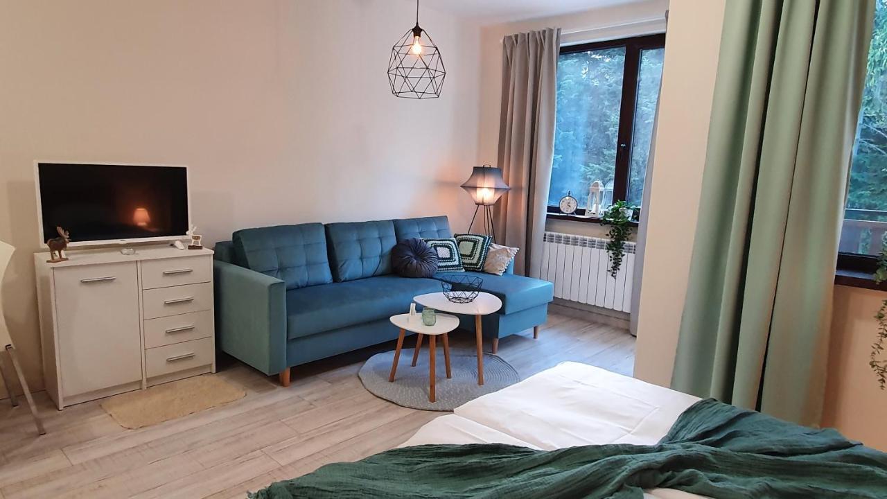 Borovets Holiday Homes エクステリア 写真