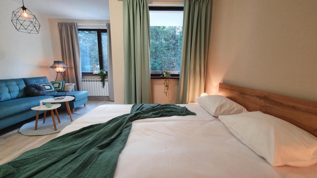 Borovets Holiday Homes エクステリア 写真