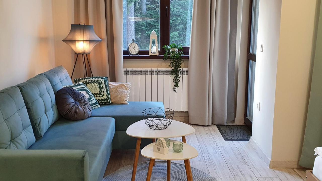 Borovets Holiday Homes エクステリア 写真